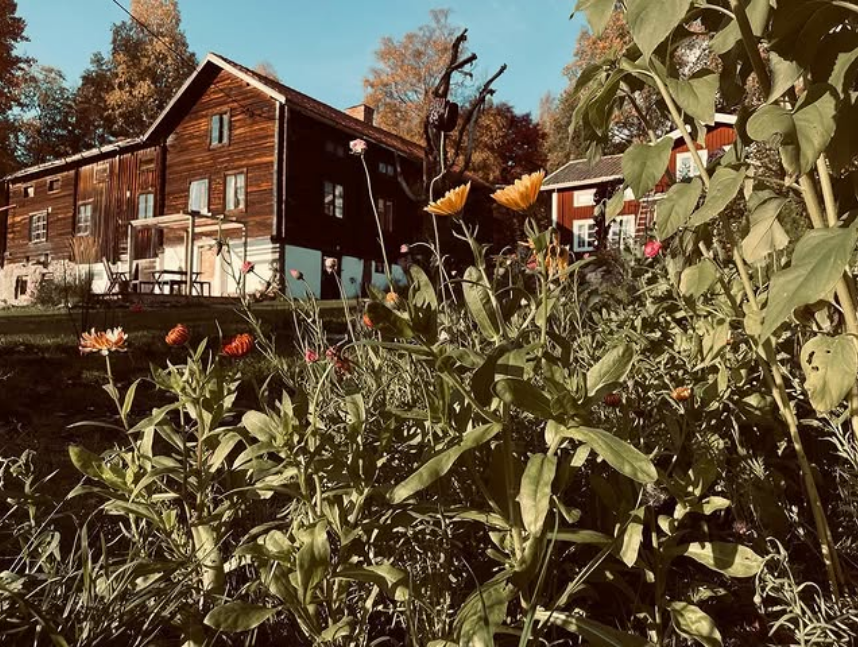 Trähuset i Glugg, omgivet av träd och blommande trädgård